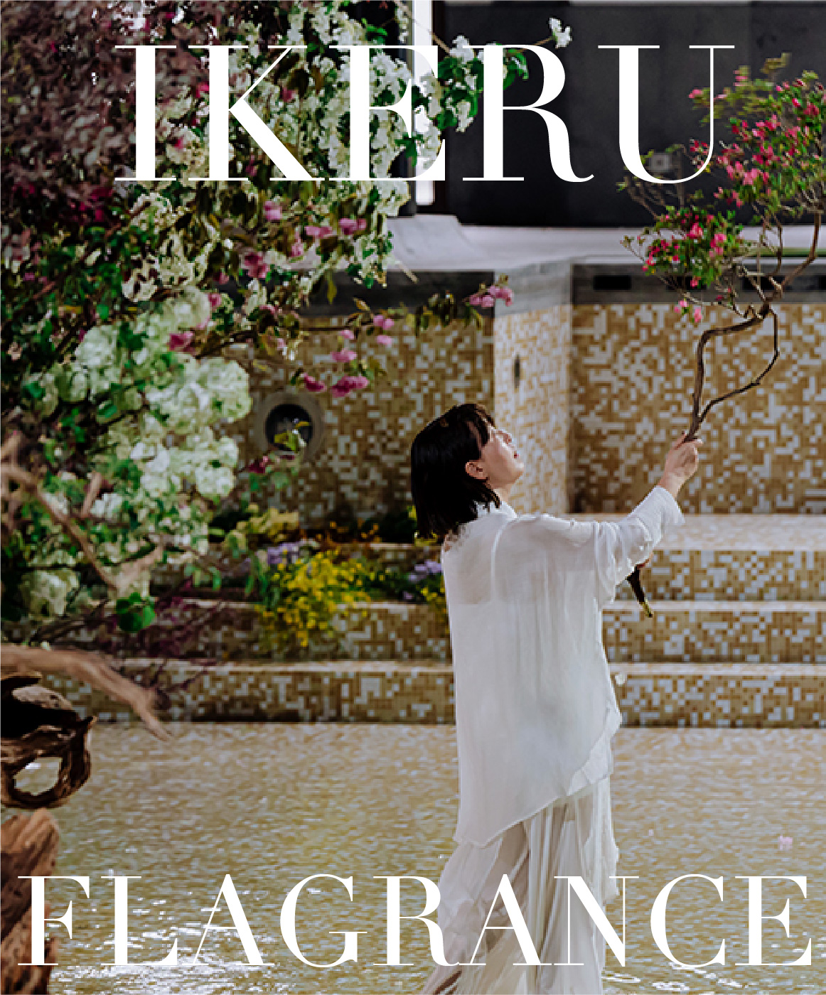 大谷美香 スマホ用キャッチ画像