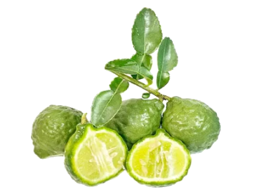 Bergamot