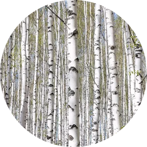 ロウリュウ用アロマウォーター