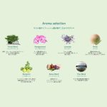 SAUNOA ヘアオイル サブ画像3